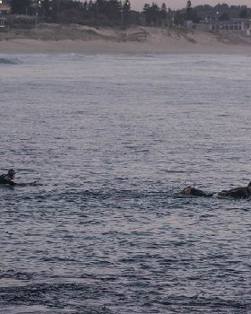 Surfing