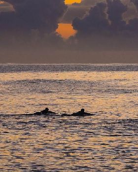 Surfing