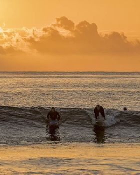 Surfing
