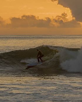 Surfing