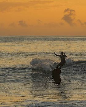 Surfing