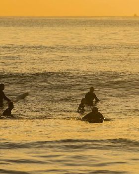 Surfing