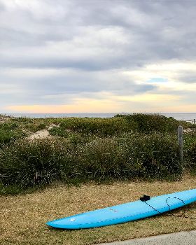 Surfing