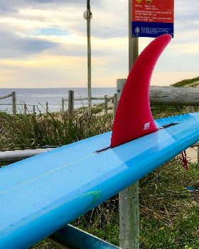 Surfing
