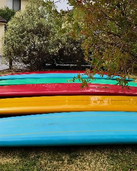 Surfing