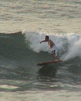 Fashar surfin dude