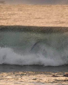 Surfing