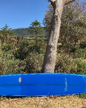 Surfing