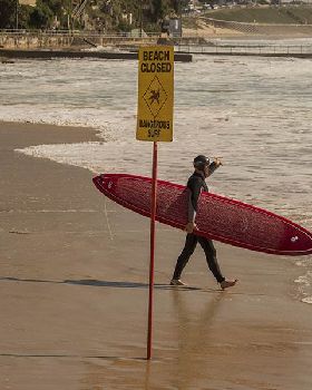 Surfing