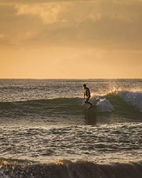 Surfing