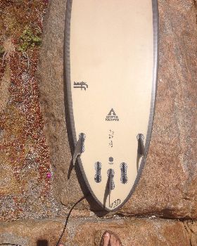 Surfing