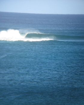 the bluff, WA