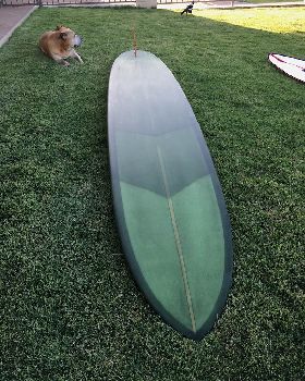 Surfing