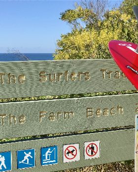 Surfing