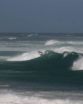 Surfing