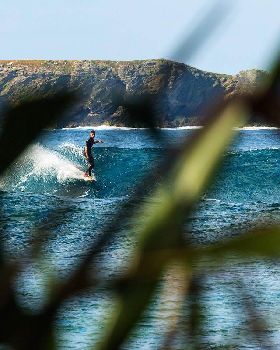 Surfing