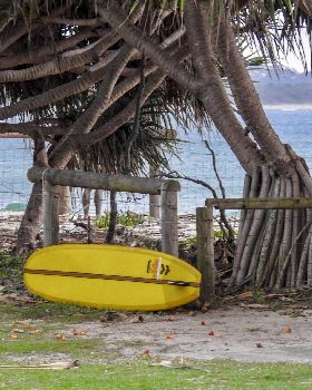 Surfing