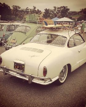 surf-transportation