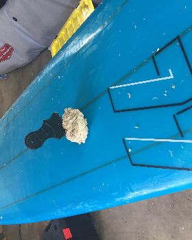 Surfing