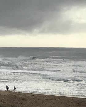 Surfing