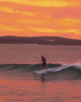 Surfing