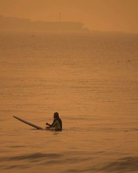Surfing