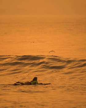 Surfing