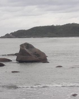 South Island Westport 028