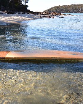 Surfing