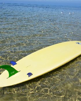 Surfing