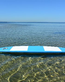 Surfing