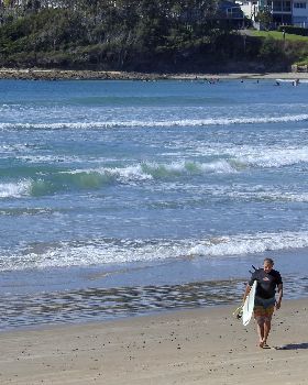 Surfing