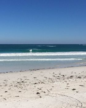Surfing
