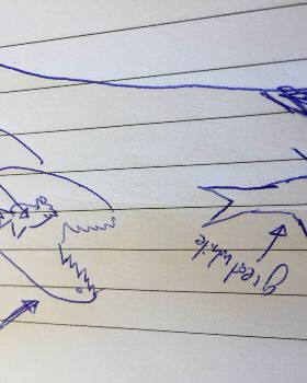 Sharks