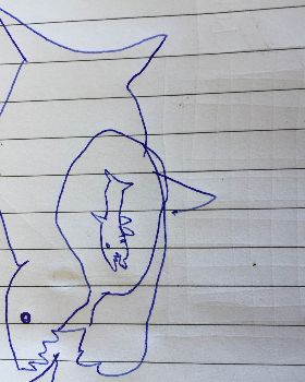 Sharks