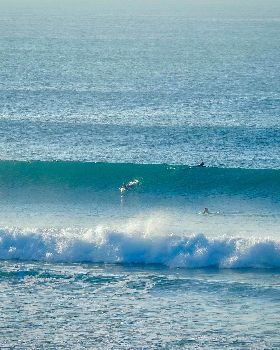 Surfing