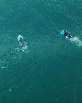 Surfing