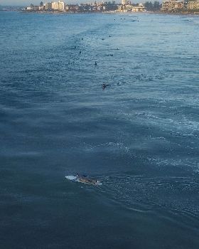 Surfing
