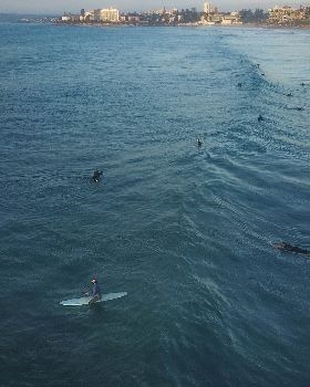 Surfing