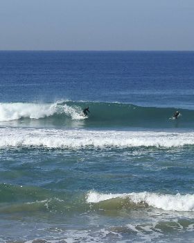 Surfing