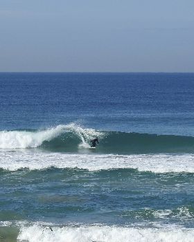 Surfing