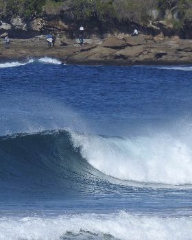 Surfing