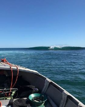 Surfing
