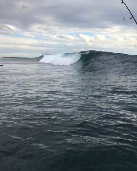 Surfing
