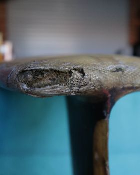 Longboard restoration