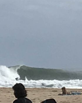 Surfing