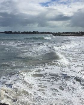 Surfing