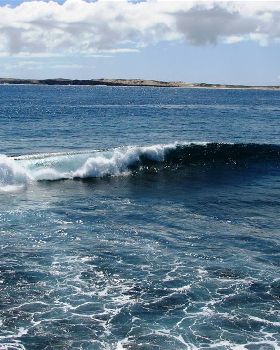 Surfing
