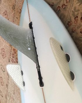 Thick Lizzy Fins