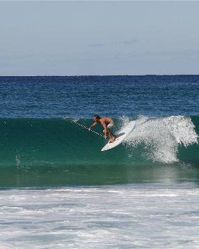ANDY F.- P BOARD